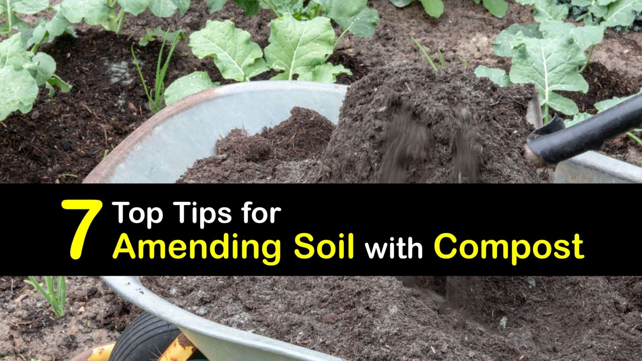 Clever Composting Tips How to Mix Soil with Compost