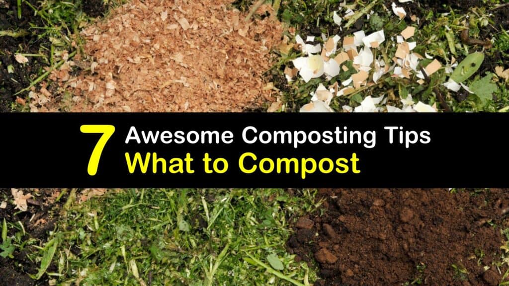 List of Compostable Items titleimg1
