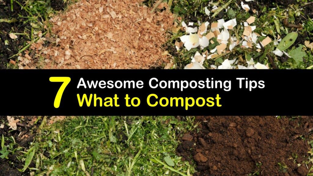 List of Compostable Items titleimg1