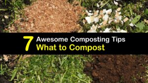 List of Compostable Items titleimg1