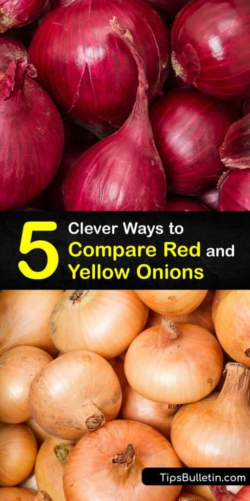Leeks, shallots, and scallions are Allium crops, but there are key differences that make these plants unique. The same goes for red, yellow, and sweet onions. Despite being so similar, their flavor profiles vary and determine how we cook them. #red #yellow #onions