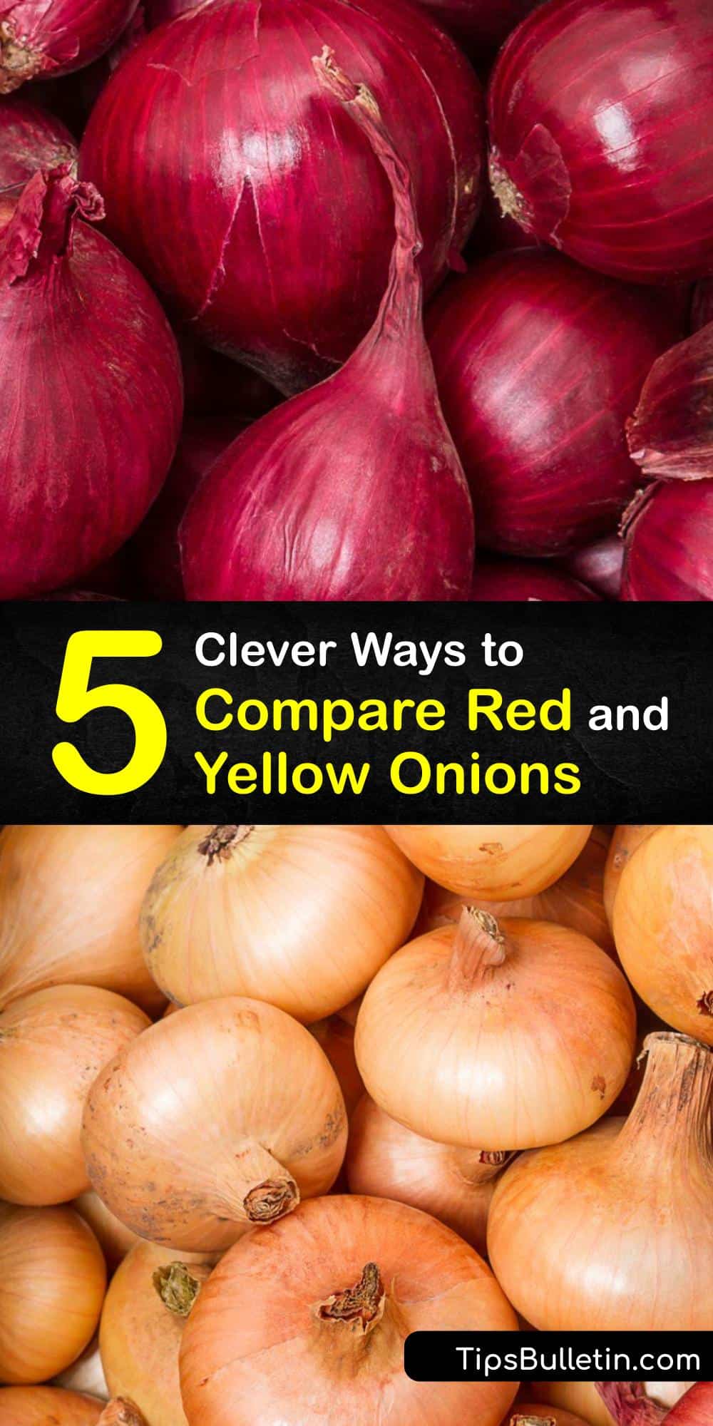 How are Red and Yellow Onions Different Onion Types