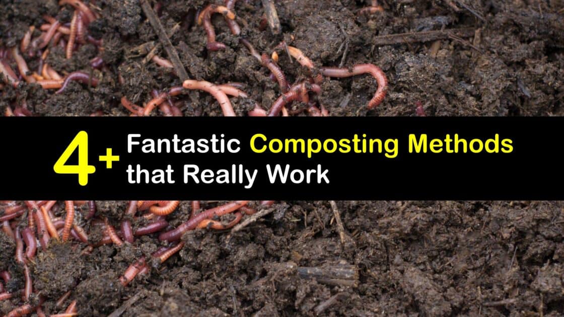 Smart Types of Composting Compost Techniques for Everyone