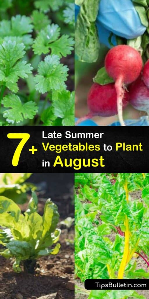 Late summer is the best time to plan for crops in your fall garden. Discover how to choose the best veggies to maximize your growing season. Learn about cold loving veggies like Swiss chard, arugula, Brussels sprouts, and many more. Fill your fall with veggies! #grow #vegetables #august #fall