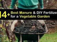 Best Manure for a Vegetable Garden titleimg1