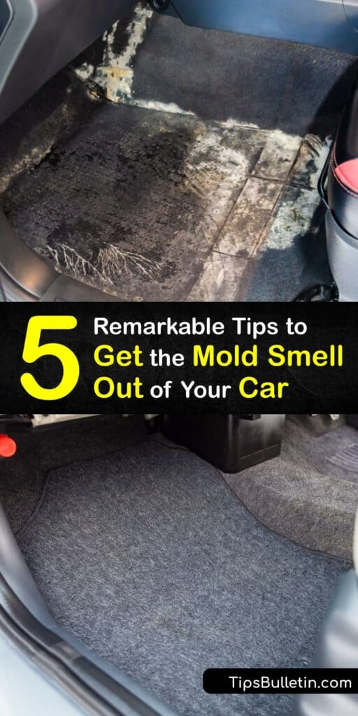 A bad smell in your car means it's time for a trip to the car wash; however, a moldy smell could require more than vacuuming to resolve. The mold odor could come from the fabric or the air conditioning system, but cleaning is necessary to remove the mold source. #car #smells #moldy
