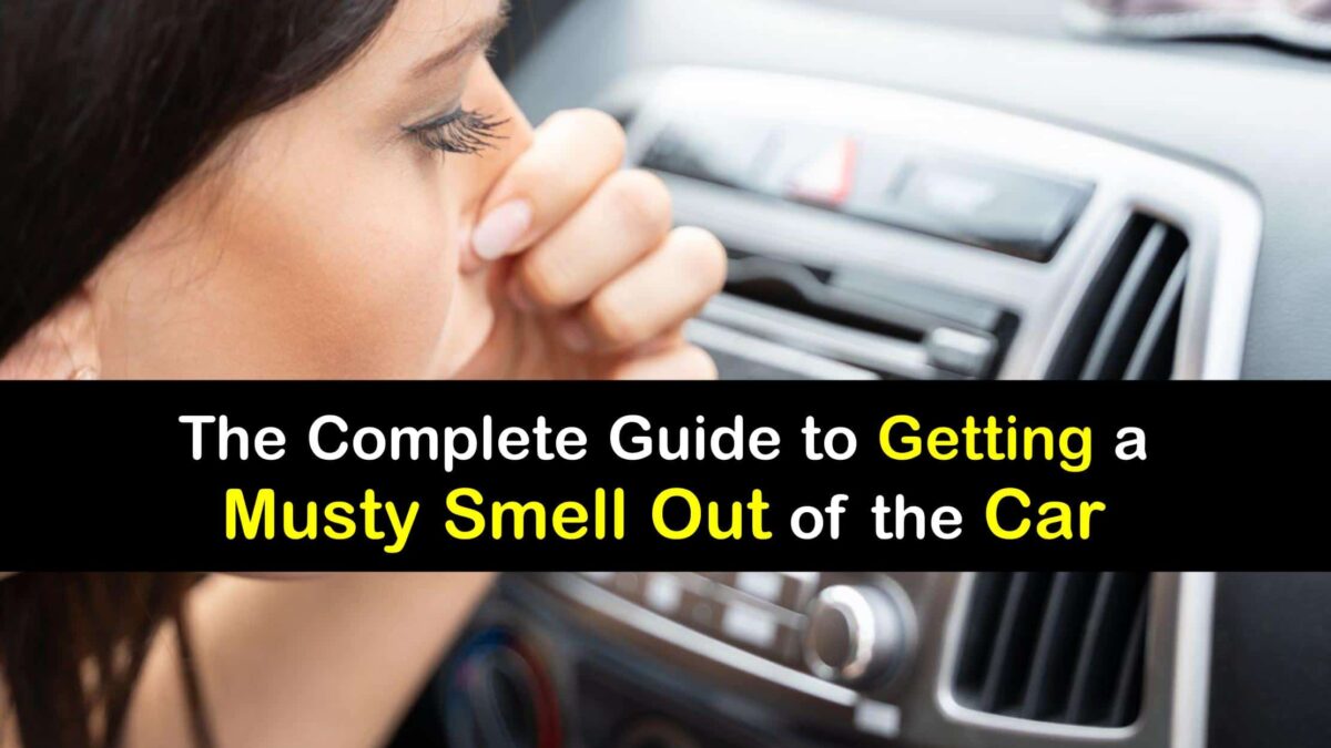 Musty Car Smells Spectacular Guide to Eliminating Car Odors