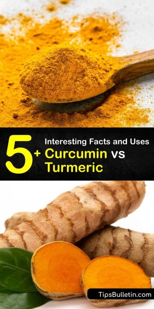 Learn the difference between turmeric vs curcumin and how to produce turmeric at home. Turmeric is a popular spice in Indian cooking, containing curcuminoids and the curcumin compound. Curcumin supplements are anti-inflammatory and antioxidant. #curcumin #turmeric