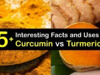 Curcumin vs Turmeric titleimg1