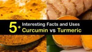 Curcumin vs Turmeric titleimg1