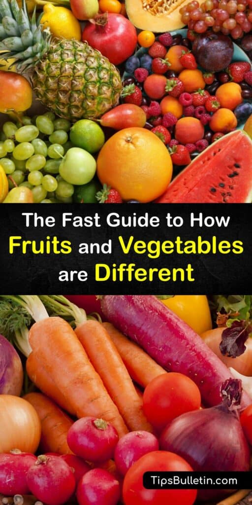 Discover the difference between fruits and vegetables. There are various fruits and veggies, like zucchini, turnips, bell peppers, tomatoes, and watermelon. Some grow from flowers, while others come from a different part of the plant. #fruit #vegetable #difference