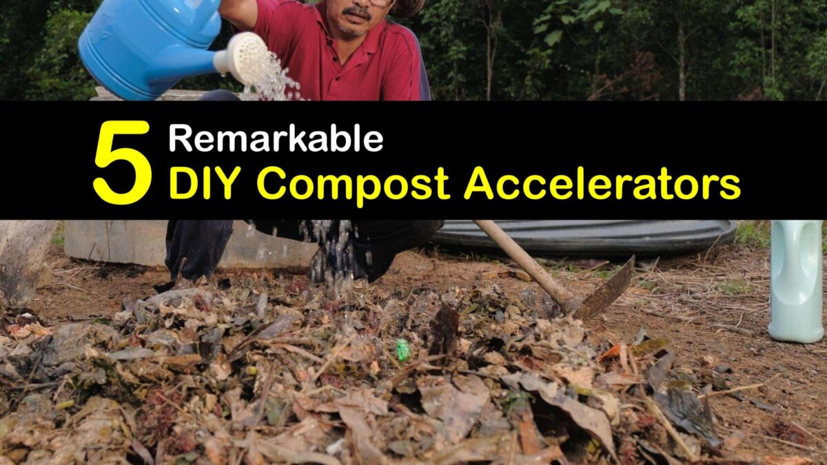 Making Your Own Compost Accelerator Smart Compost Boosters