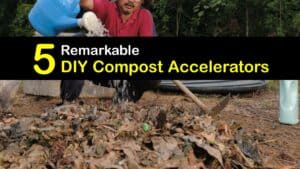 Homemade Compost Accelerator titleimg1