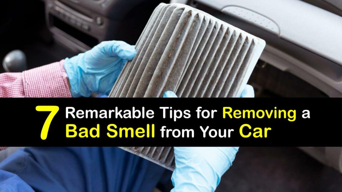 Car Odor Control Tips to Get Rid of Unwanted Smells in the Car
