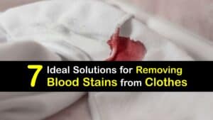 How to Get Blood Stains Out of Clothes titleimg1