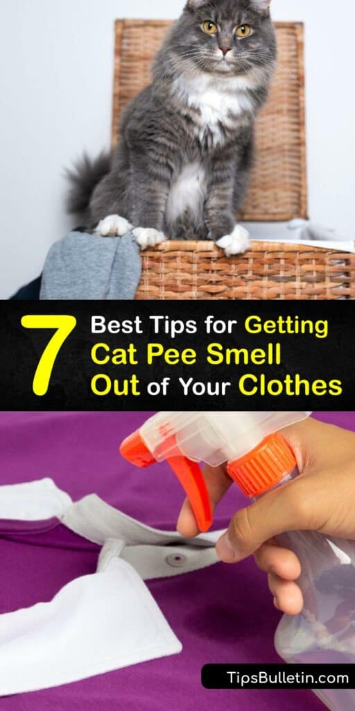 A pet urine stain or cat pee smell is tough to remove from your home and clothes. Try carpet cleaning and use a natural odor remover like white vinegar, baking soda, or an enzyme cleaner to get cat urine smell out of your clothes. #cat #pee #smell #remove #clothes