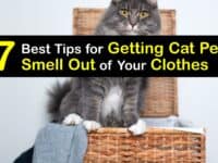 How to Get Cat Pee Smell Out of Clothes titleimg1