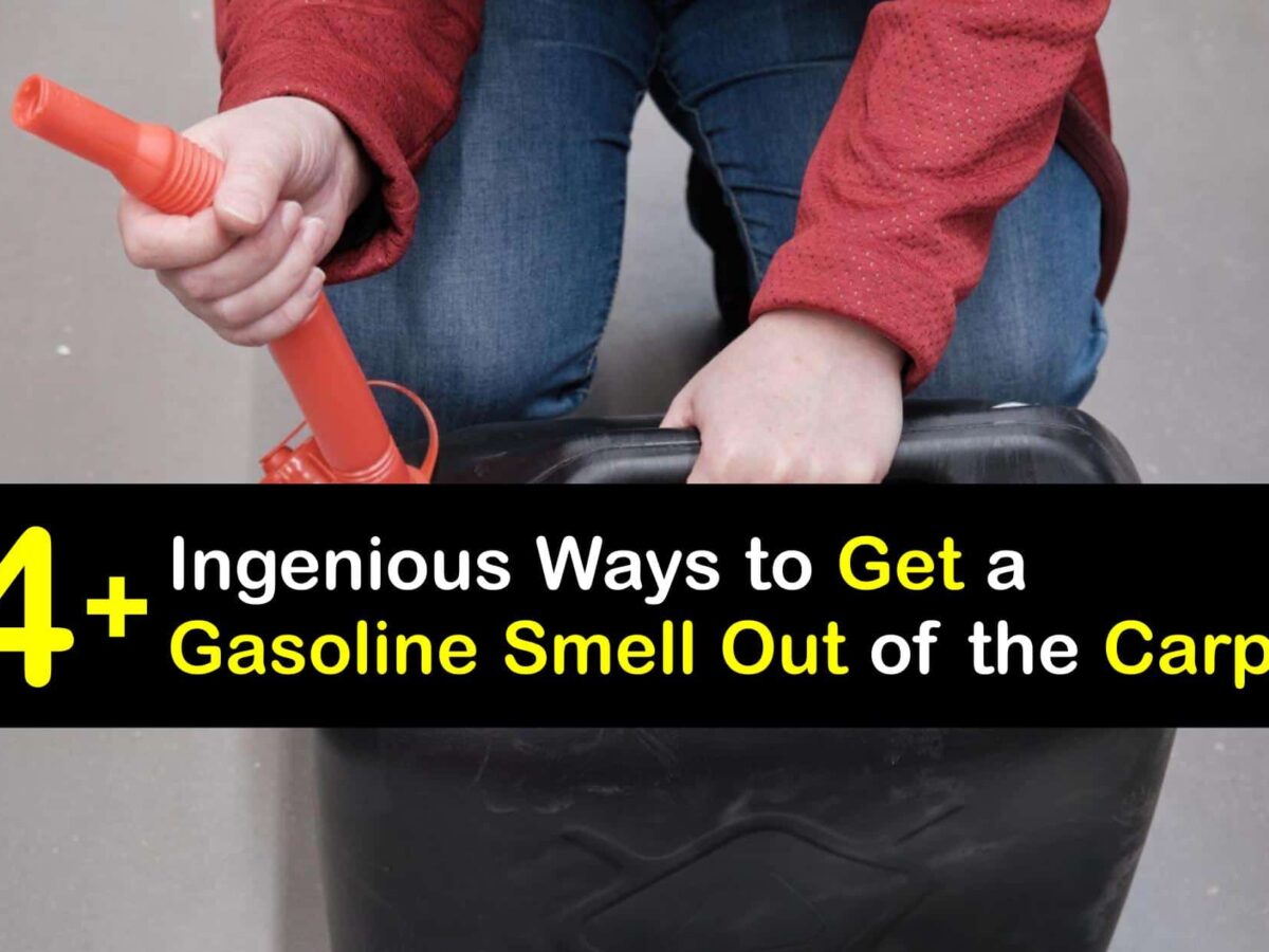 zoe-lambert-author-at-tips-bulletin