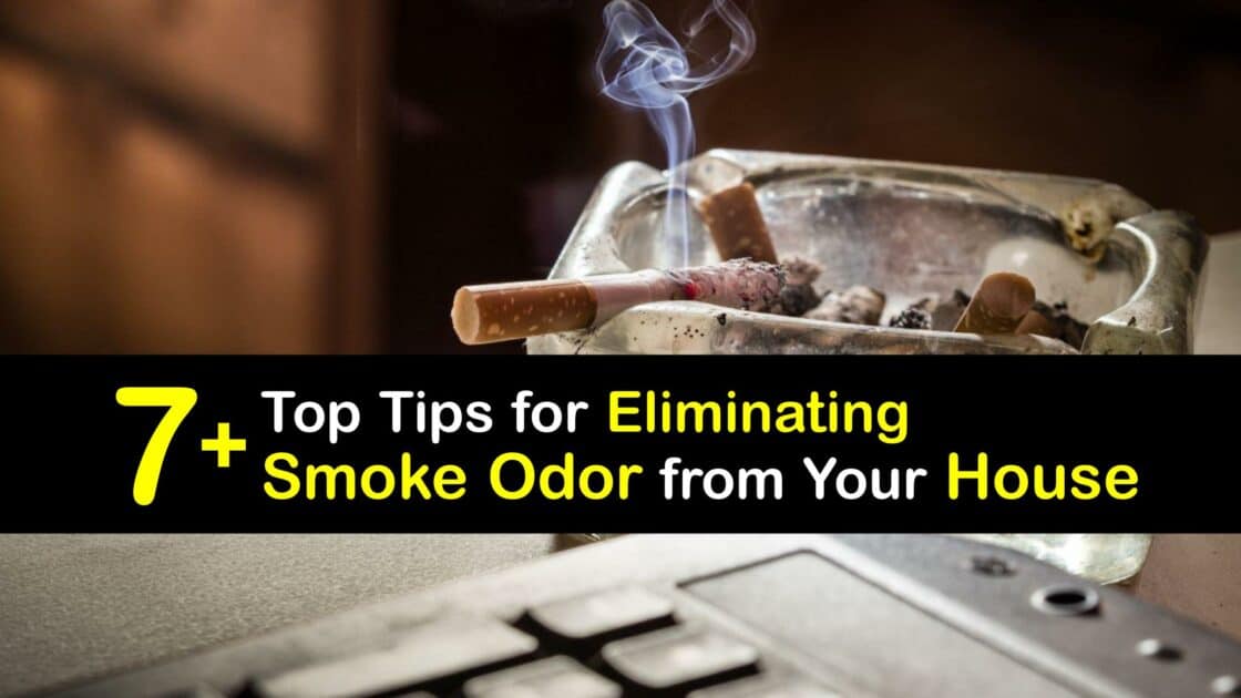 Smoke Smell in Your House Eliminate Smoky Odors Indoors
