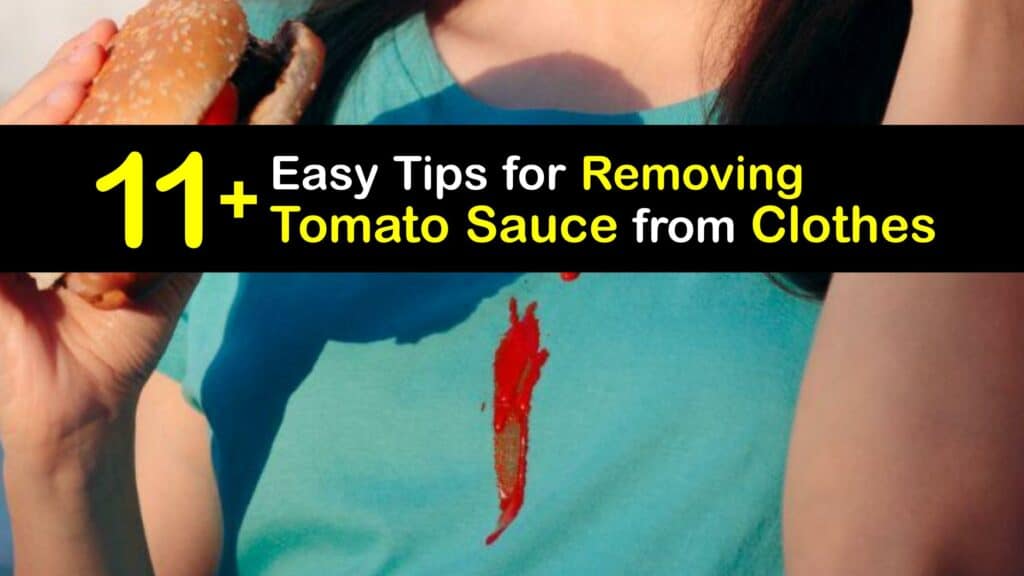 How to Get Tomato Sauce Out of Clothes titleimg1