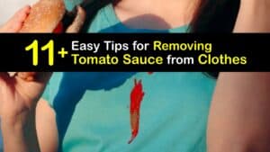 How to Get Tomato Sauce Out of Clothes titleimg1