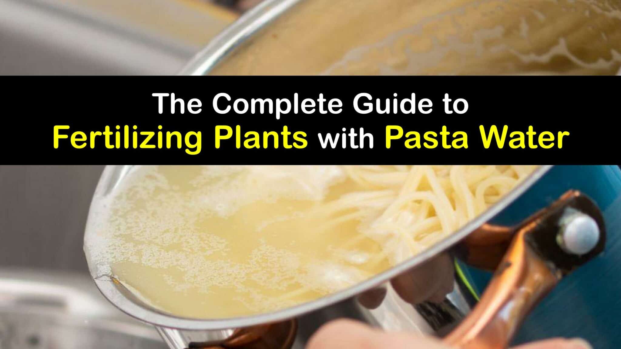 DIY Pasta Water Fertilizer Enrich Your Plants with Pasta Water