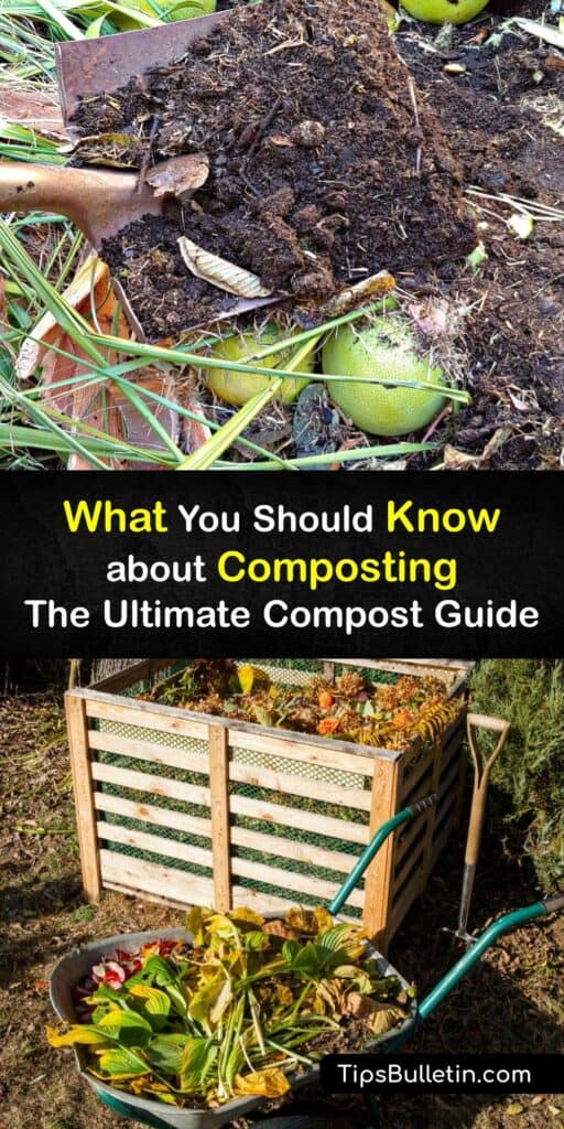 The composting process breaks down organic matter like food scraps and yard waste like grass clippings into finished compost. Composting in a bin, heap, or tumbler recycles food waste and other organic matter into a valuable soil amendment. #composting #compost