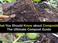 What is Composting titleimg1