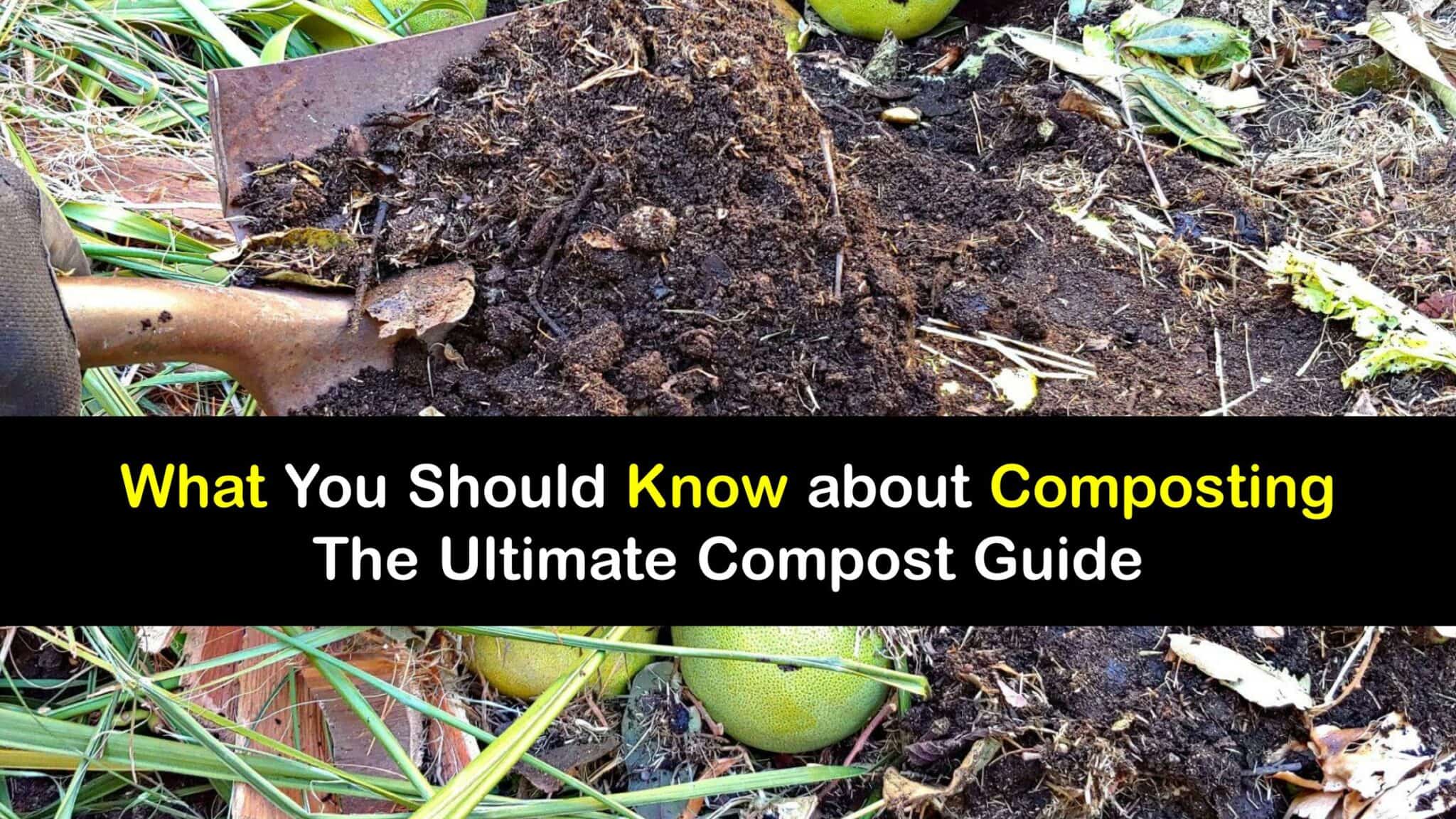 What is Composting and Why I Should Try It
