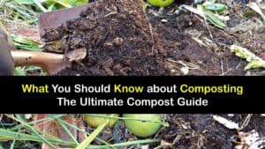 What is Composting titleimg1