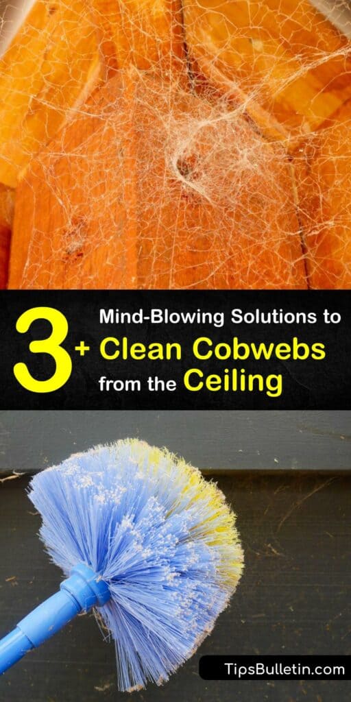 Find the ideal cleaning tip to remove spider webs and dust from a high ceiling and ceiling fan without a house cleaning service. Tackle popcorn ceilings and difficult textures using DIY strategies with duct tape, a paint roller, vacuum cleaner, and more. #clean #cobwebs #ceiling