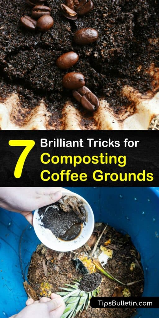 Learn how to use spent coffee grounds as fertilizer for your outdoor and indoor plants and add it as organic material in the compost bin. Composting coffee grounds is a great way to recycle, and adding compost to the soil promotes plant growth. #compost #coffee #grounds