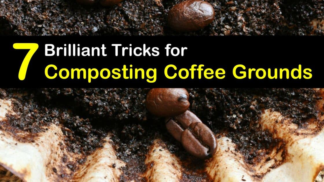 Can Coffee Grounds be Composted Compost Your Coffee