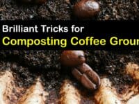 Can You Compost Coffee Grounds titleimg1