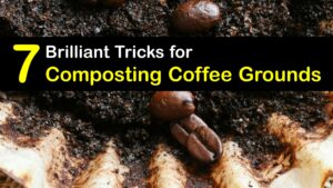 Can You Compost Coffee Grounds titleimg1