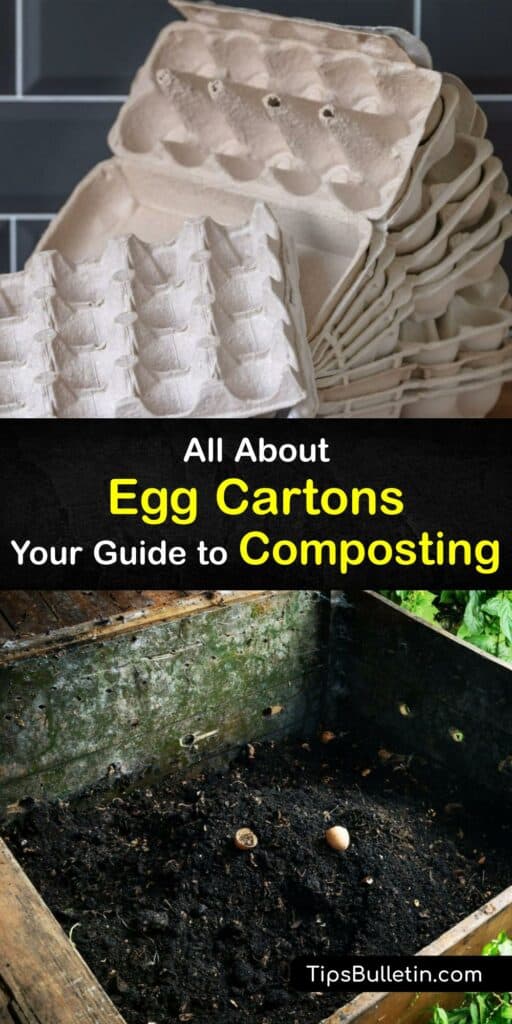 Have you ever wondered how to recycle egg cartons? We have incredible tips for foam egg cartons and paper egg cartons. Discover information for recycling your cardboard egg carton and even your plastic egg carton. If you’re curious about egg carton compost, this is for you. #egg #carton #compost