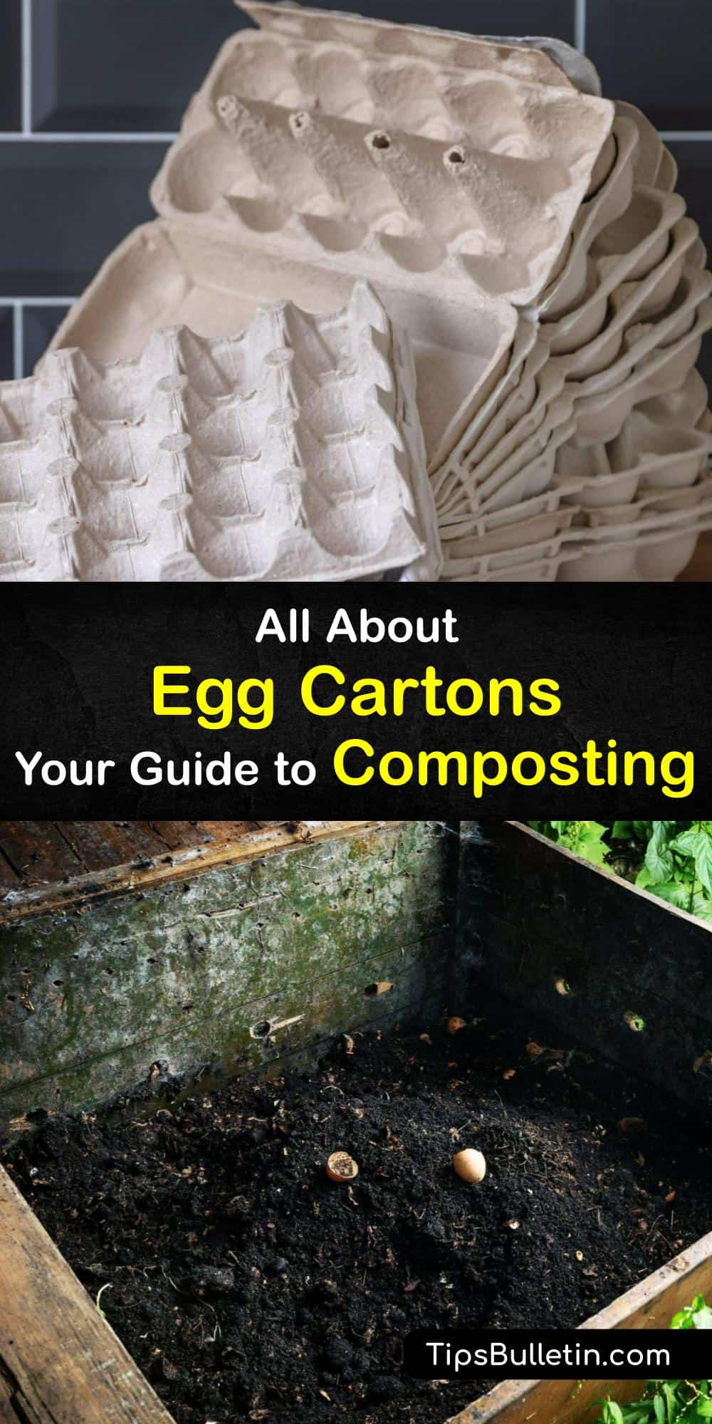 Egg Cartons in Compost Is an Egg Carton Safe for Compost