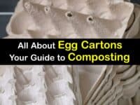 Can You Compost Egg Cartons titleimg1