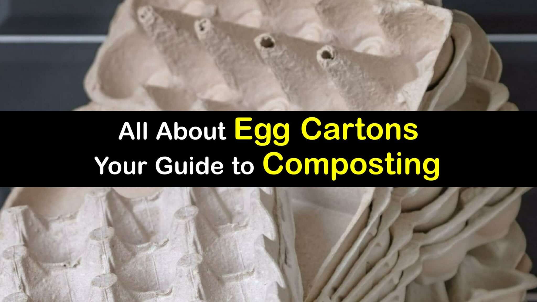 Egg Cartons in Compost Is an Egg Carton Safe for Compost