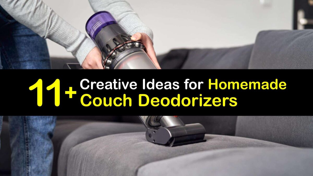 Deodorizing the Couch Tricks to Remove Odors from Your Sofa