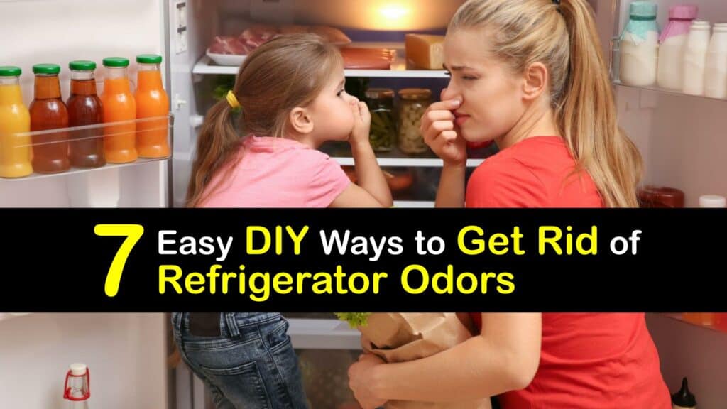 Homemade Refrigerator Odor Remover titleimg1