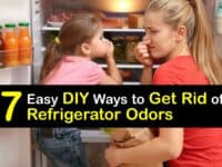 Homemade Refrigerator Odor Remover titleimg1
