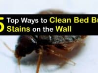 How to Clean Bed Bug Stains on the Wall titleimg1