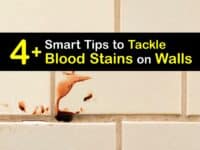 How to Get Blood Off Walls titleimg1