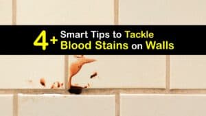 How to Get Blood Off Walls titleimg1