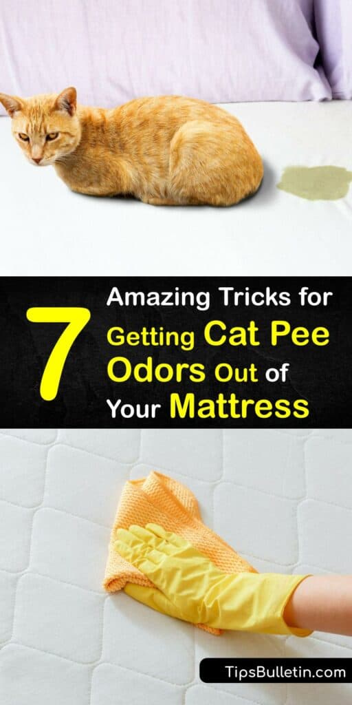 Cleaning a pee stain in your home is never fun and your bed is perhaps the worst place for your cat to use the bathroom. Discover how to use home remedies to eliminate the cat urine odor and restore the condition of your mattress. #remove #cat #pee #smell #mattress