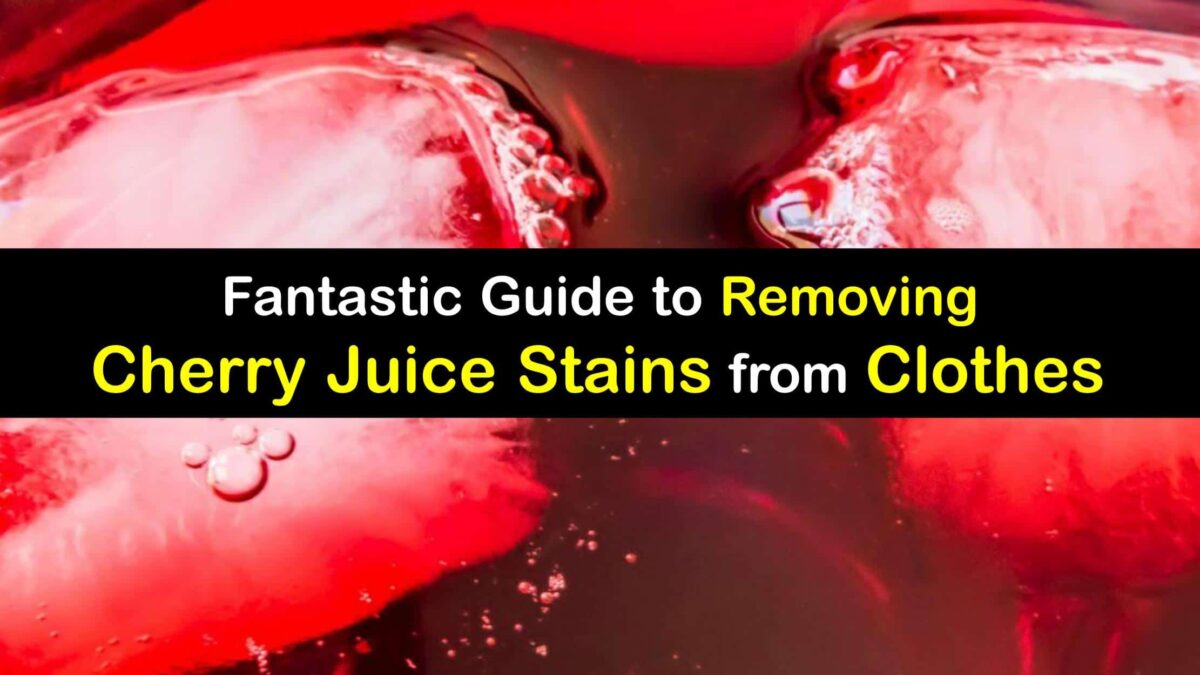 Cherry Juice Stains Removing a Red Stain from Clothes