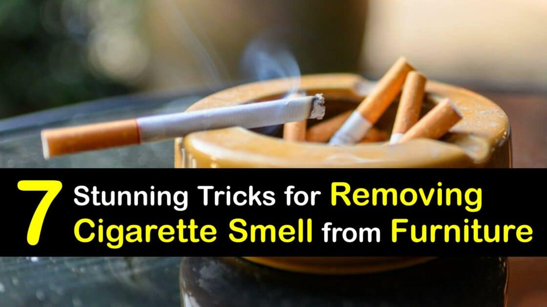 Get Cigarette Odors Out of Furniture Remove the Smoky Smell