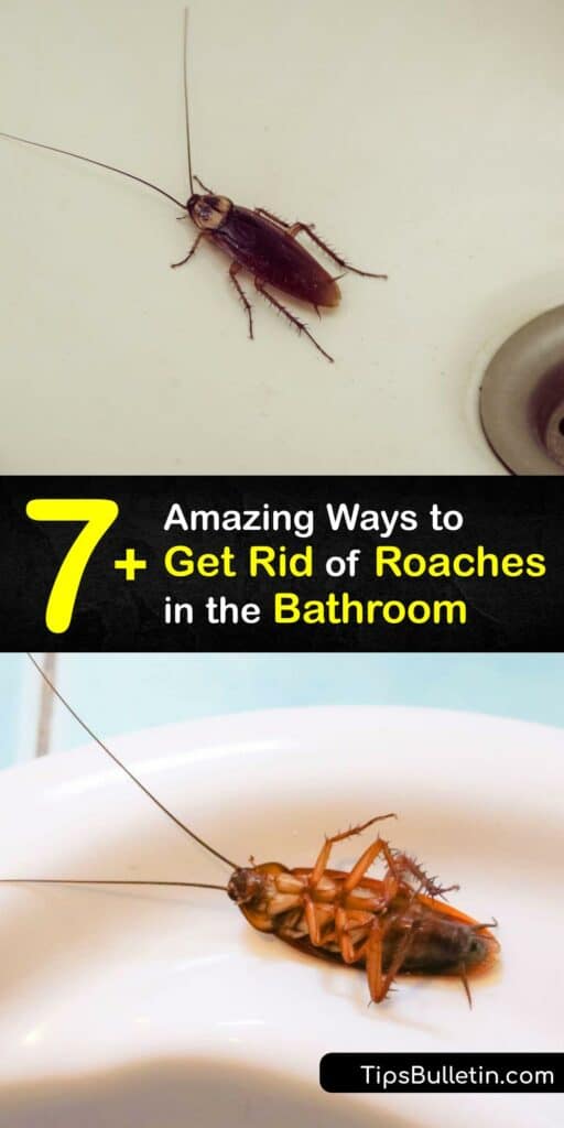 Try a home remedy as pest control when you have a German cockroach infestation. Peanut butter is an effective cockroach bait, and simple items like baking soda and boric acid are effective cockroach control to treat a roach infestation of adult and baby cockroaches. #rid #cockroaches #bathroom