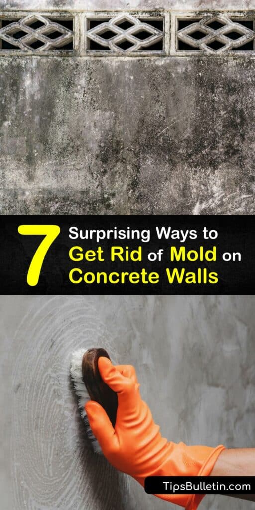 Learn how to clean concrete block walls to remove mold spores and stains and prevent mold from infesting the cinder block. Basement mold is a problem, especially if it’s black mold. Mold removal is relatively easy using vinegar, bleach, or a pressure washer. #walls #getridof #mold #concrete
